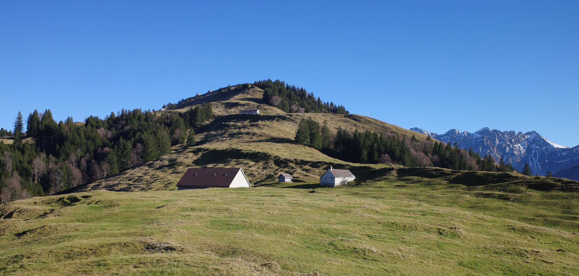 Wanderweg Hochalp