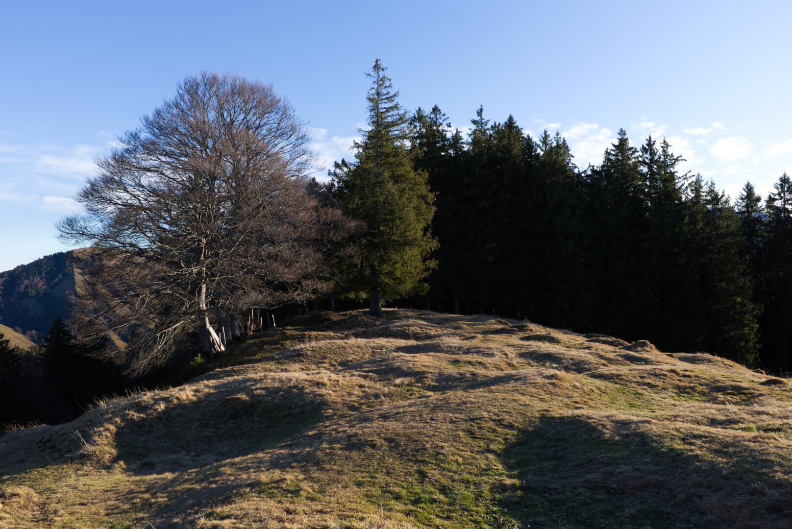 Wanderweg über buckelige Wiese