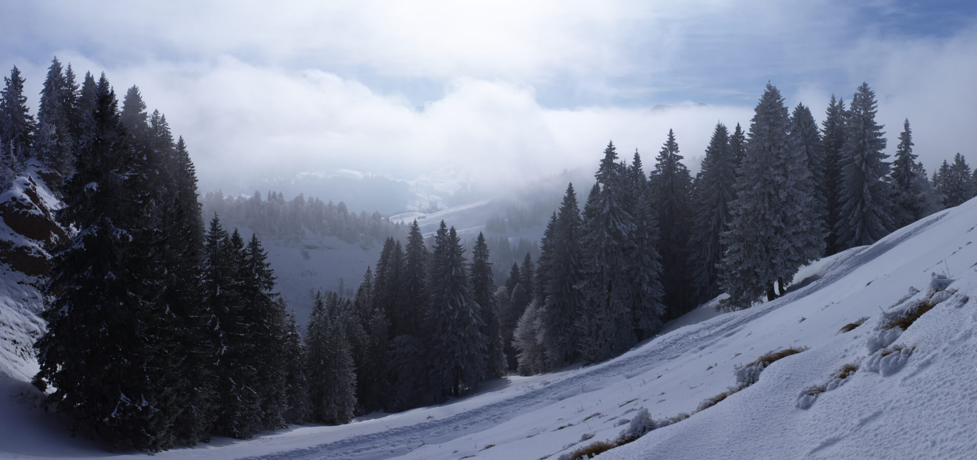 Wanderweg Schwägalp Hochalp