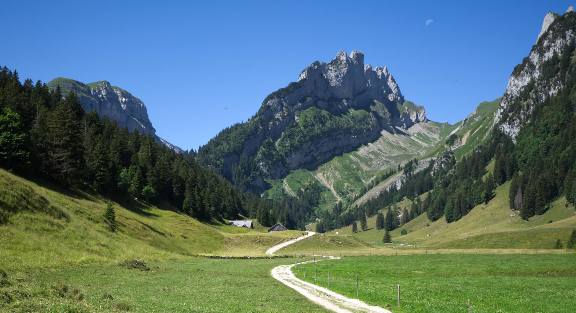 Hundstein