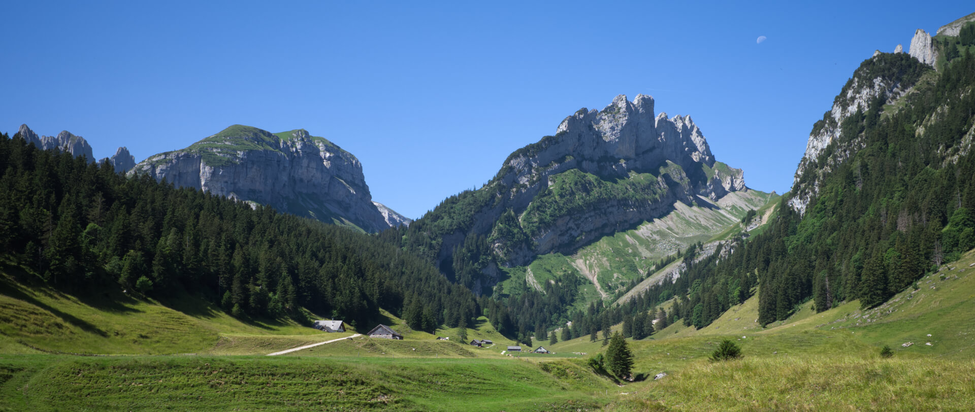 Wanderweg Widderalpsattel