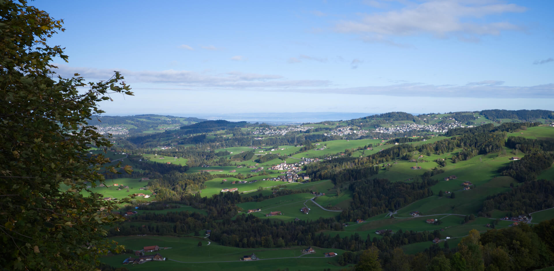 Blick zum Bodensee