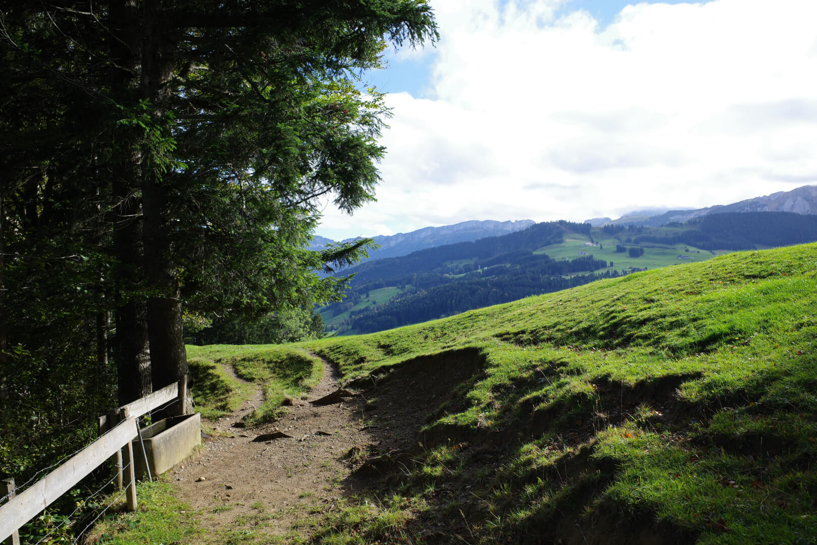 Herbstsonne