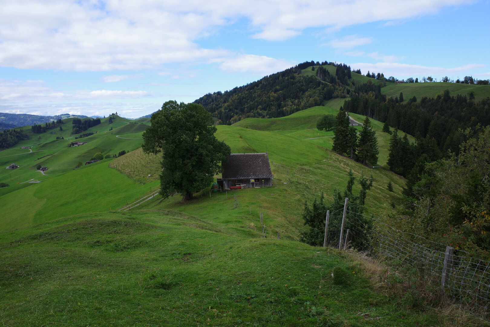 Wanderung Hundwilerhöhe