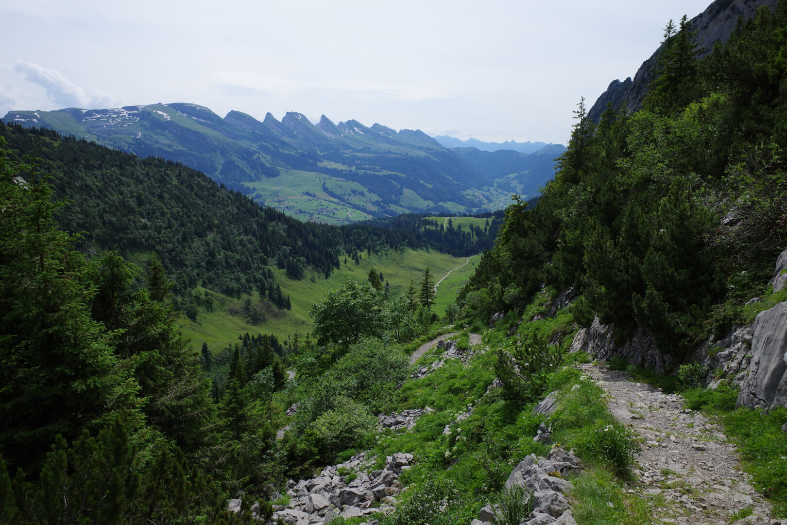 Alpweg Zwinglipass