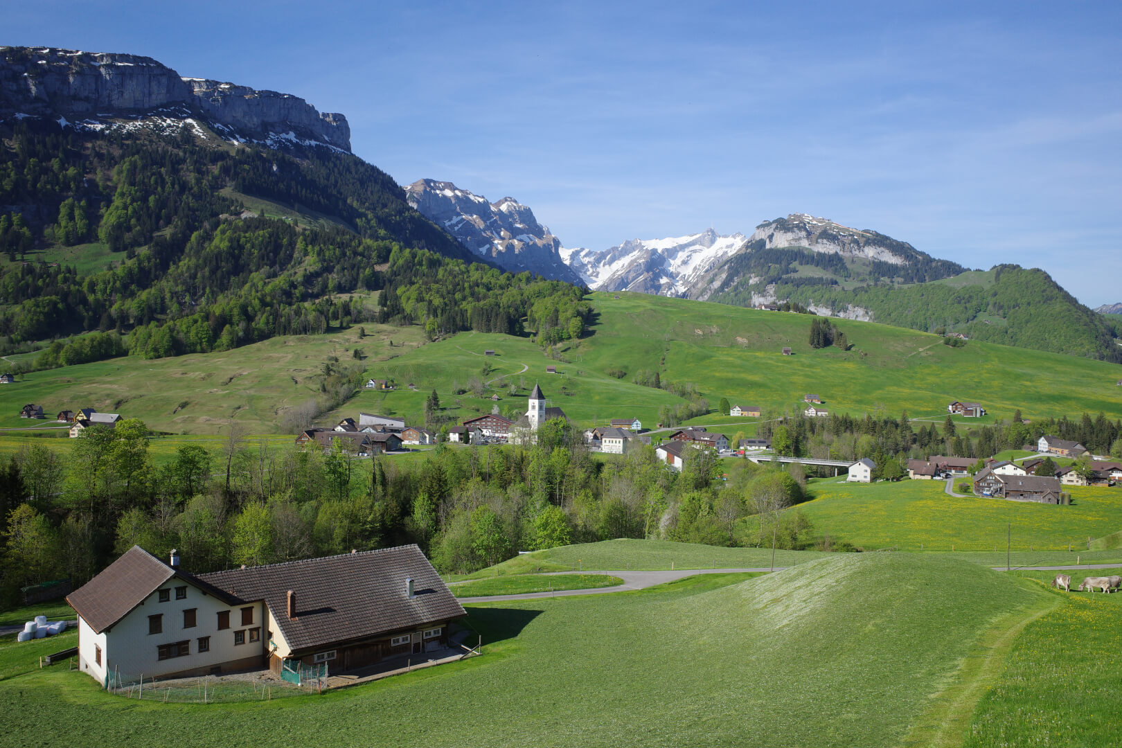 Brülisau