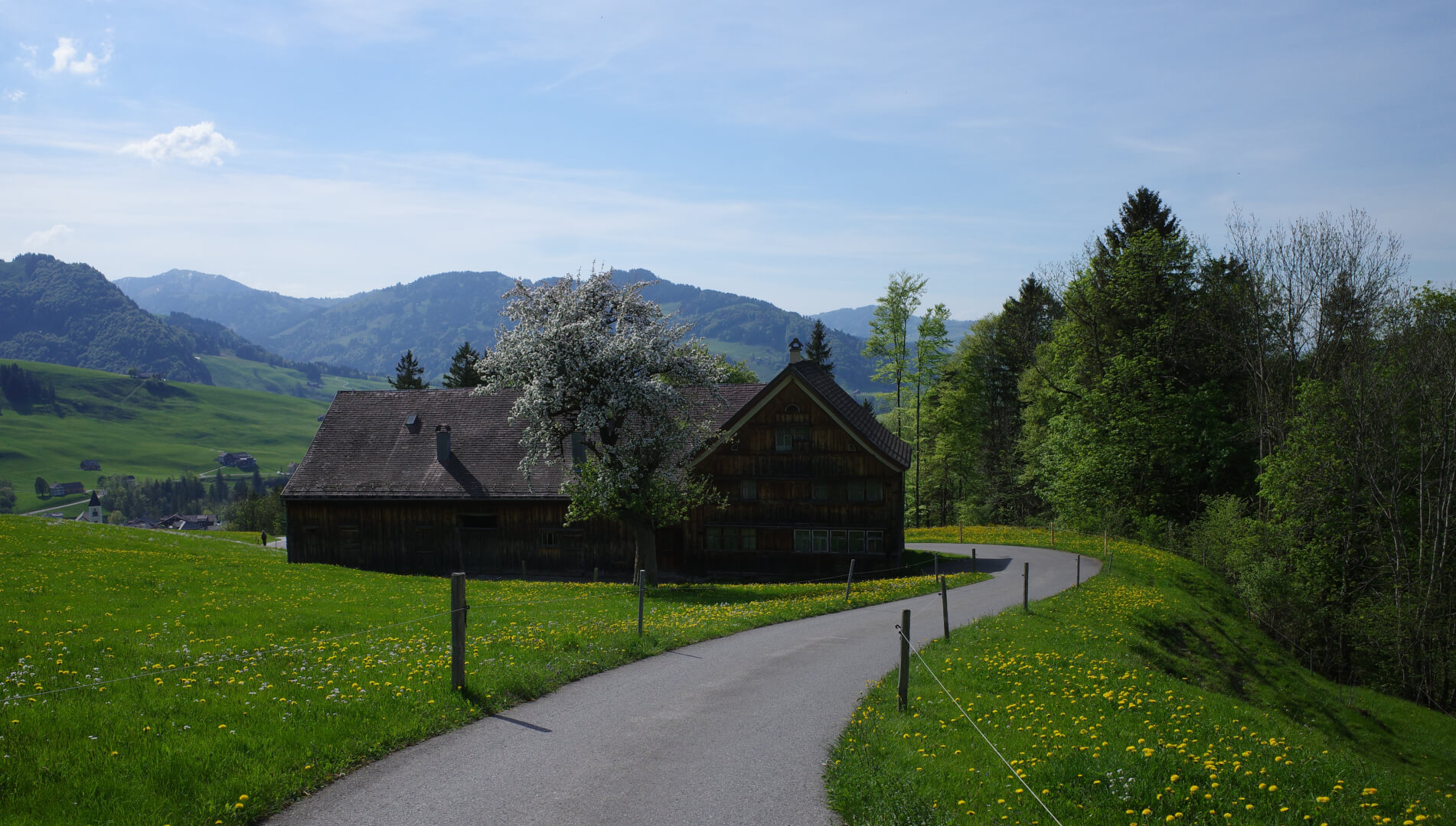 Spazierweg Ruhsitz