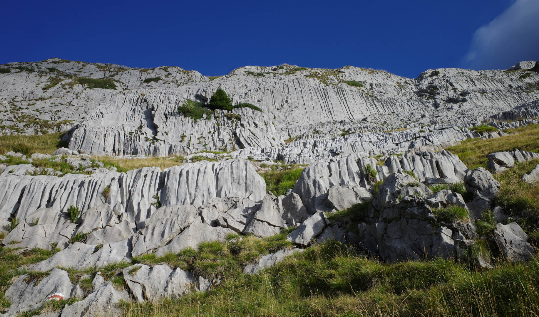 Karstgestein