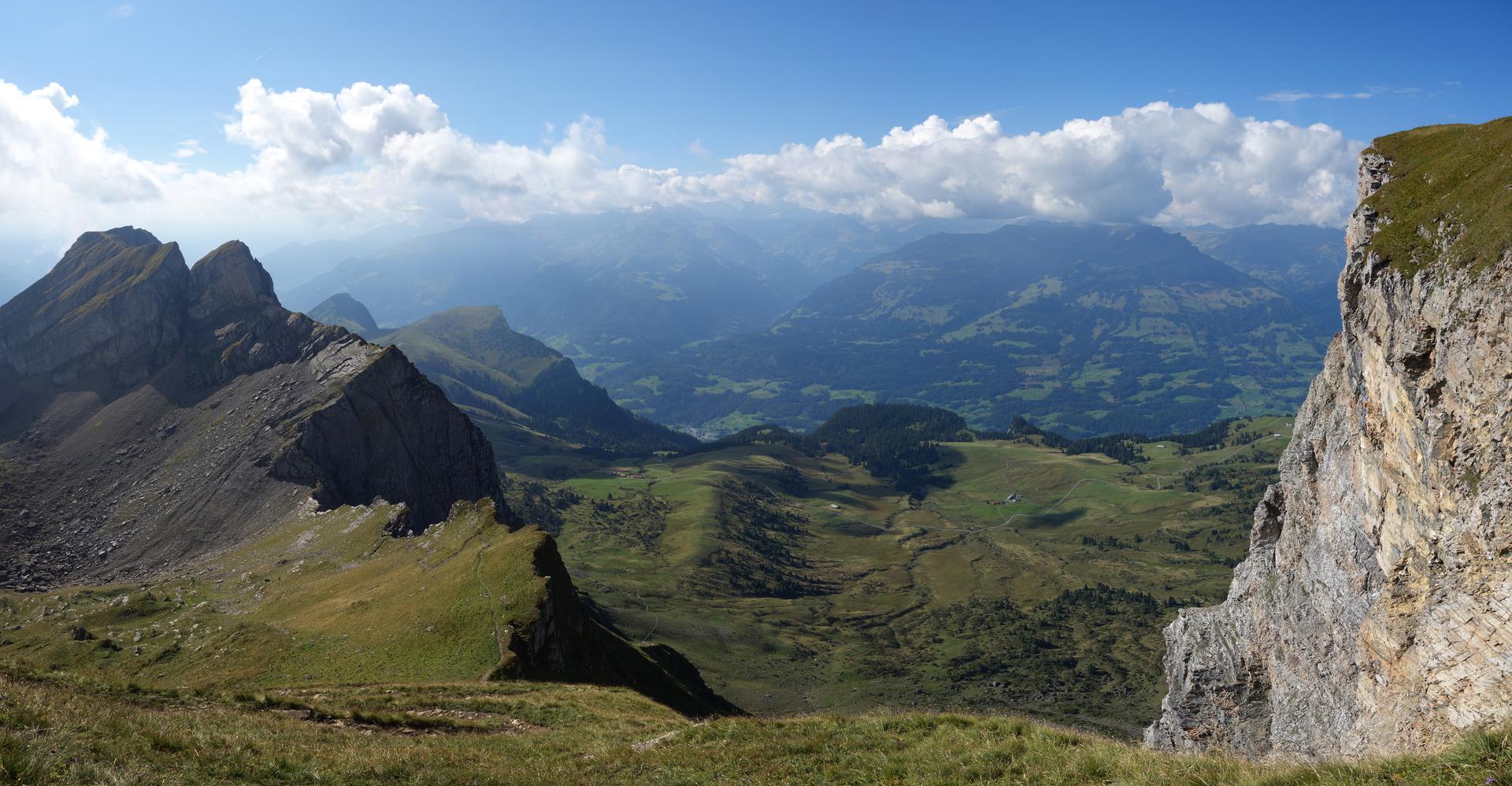 Blick Alvier Palfries