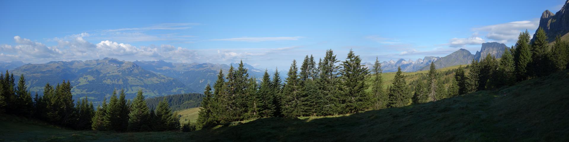 Panorama Palfries