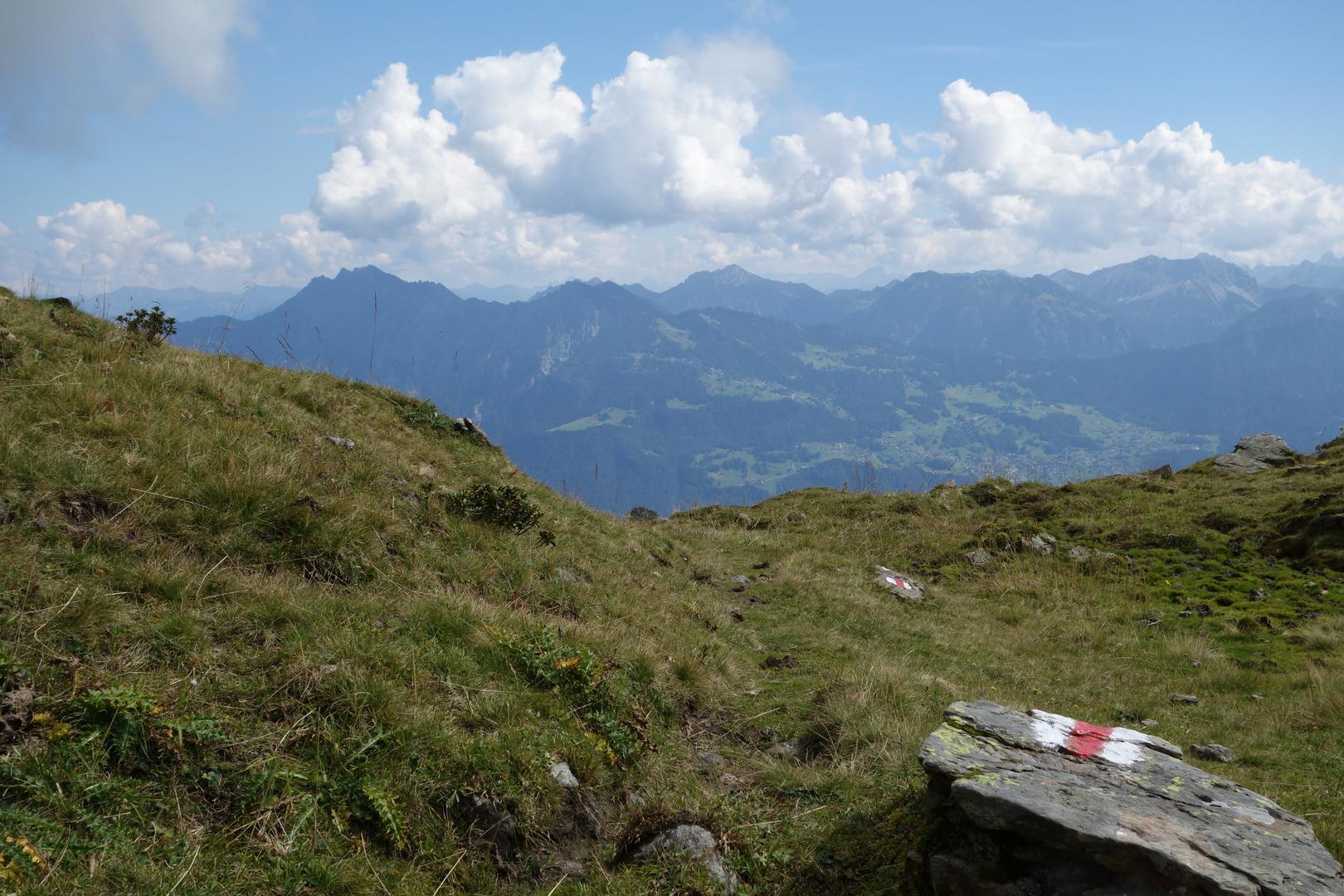 Wanderweg über Wiese