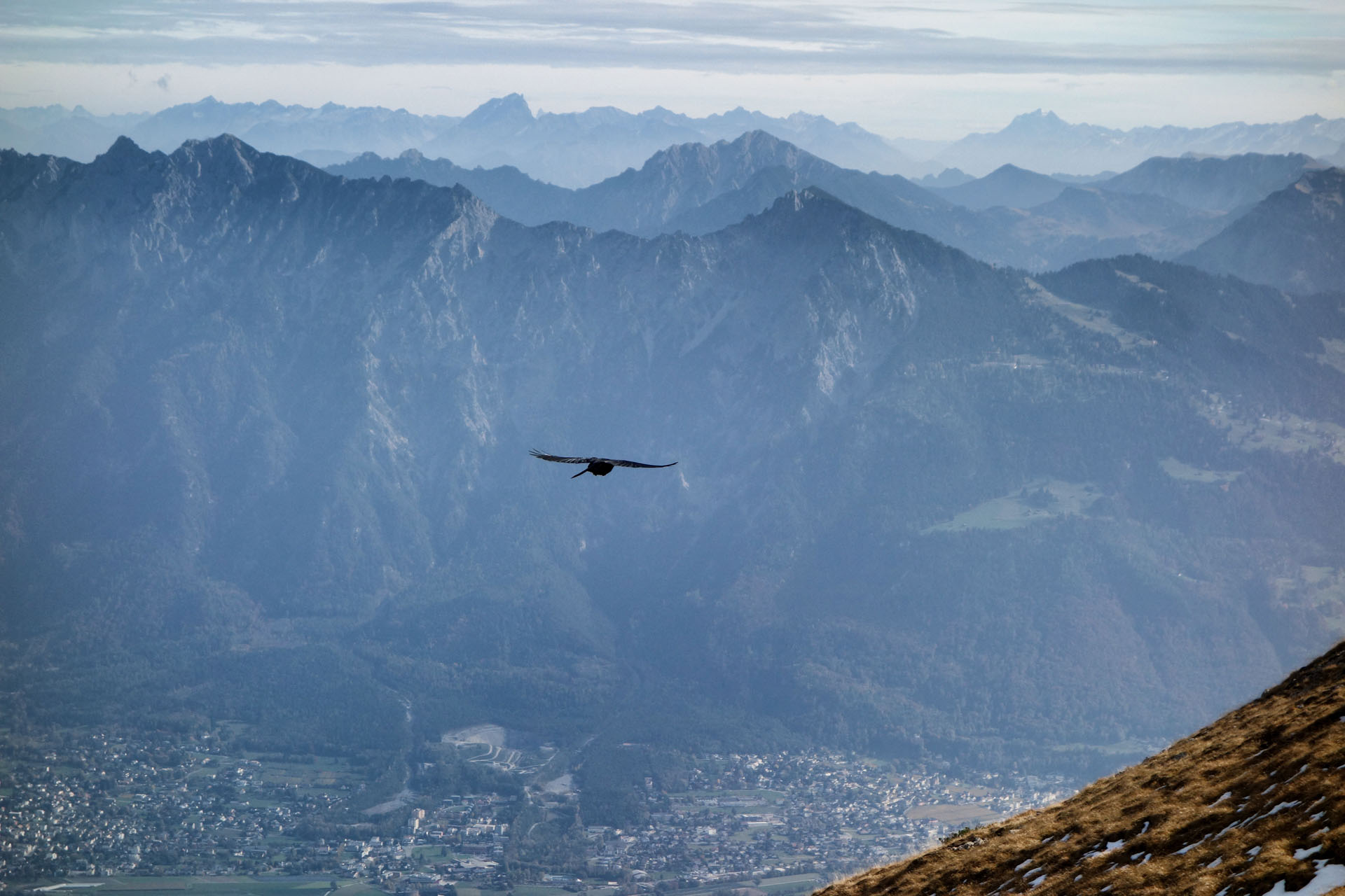 Alpendohle vor Drei Schwestern