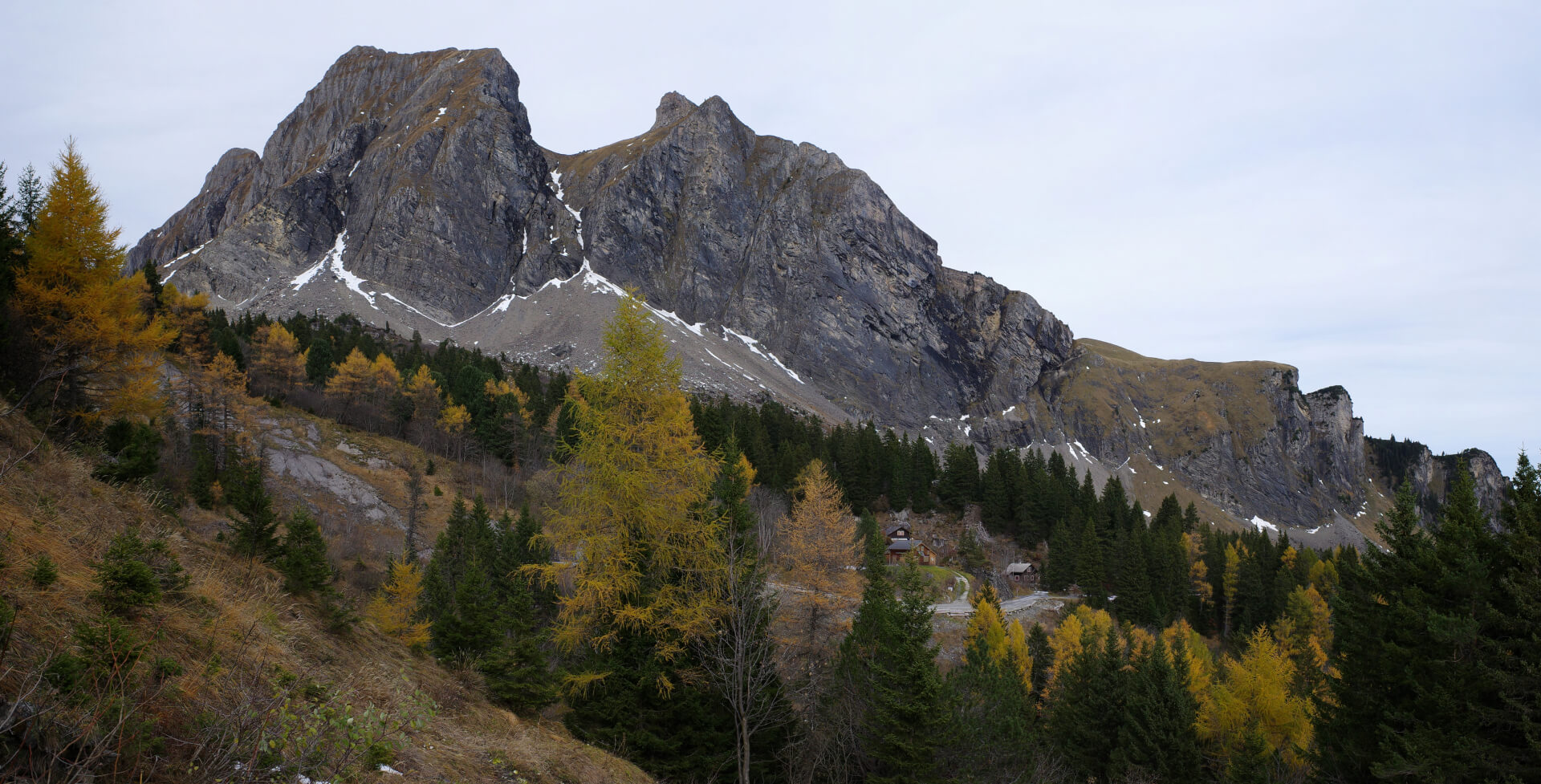 Lärchen mit felsigen Bergen