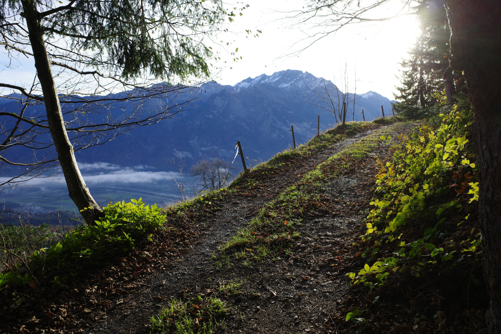 Panoramaweg am Morgen