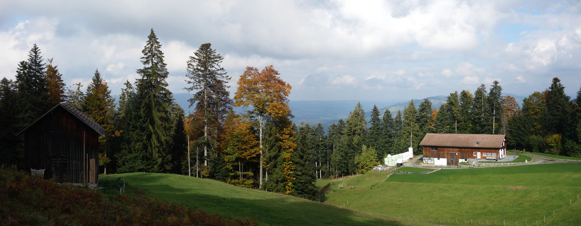 Bauernhof