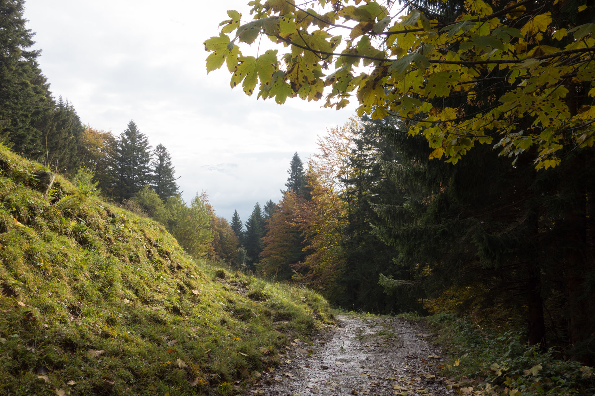 Herbstwanderung