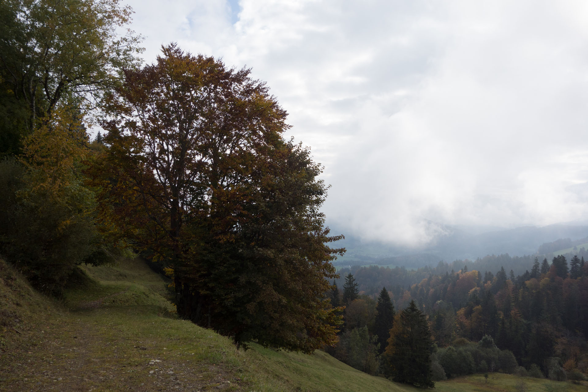 Oberer Geißkopf