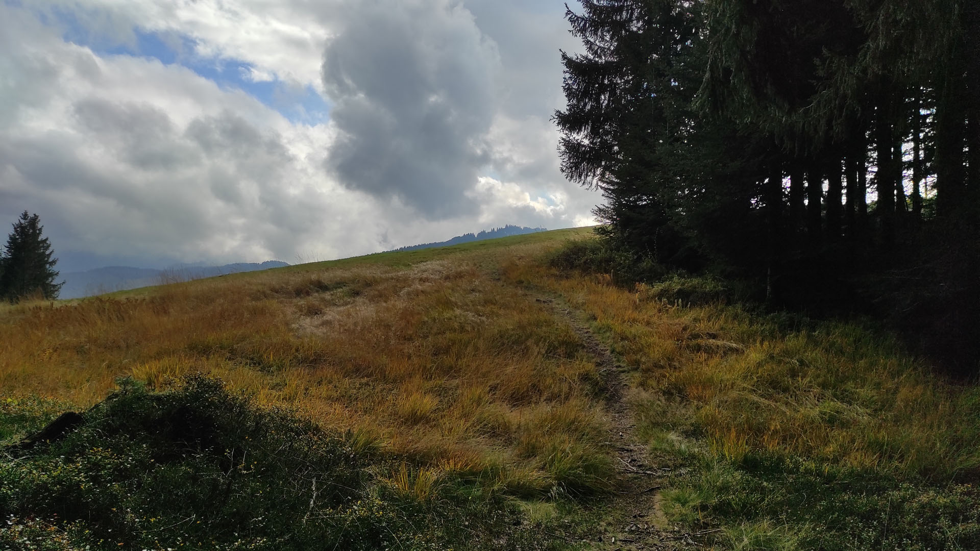 Wanderung Geißkopf