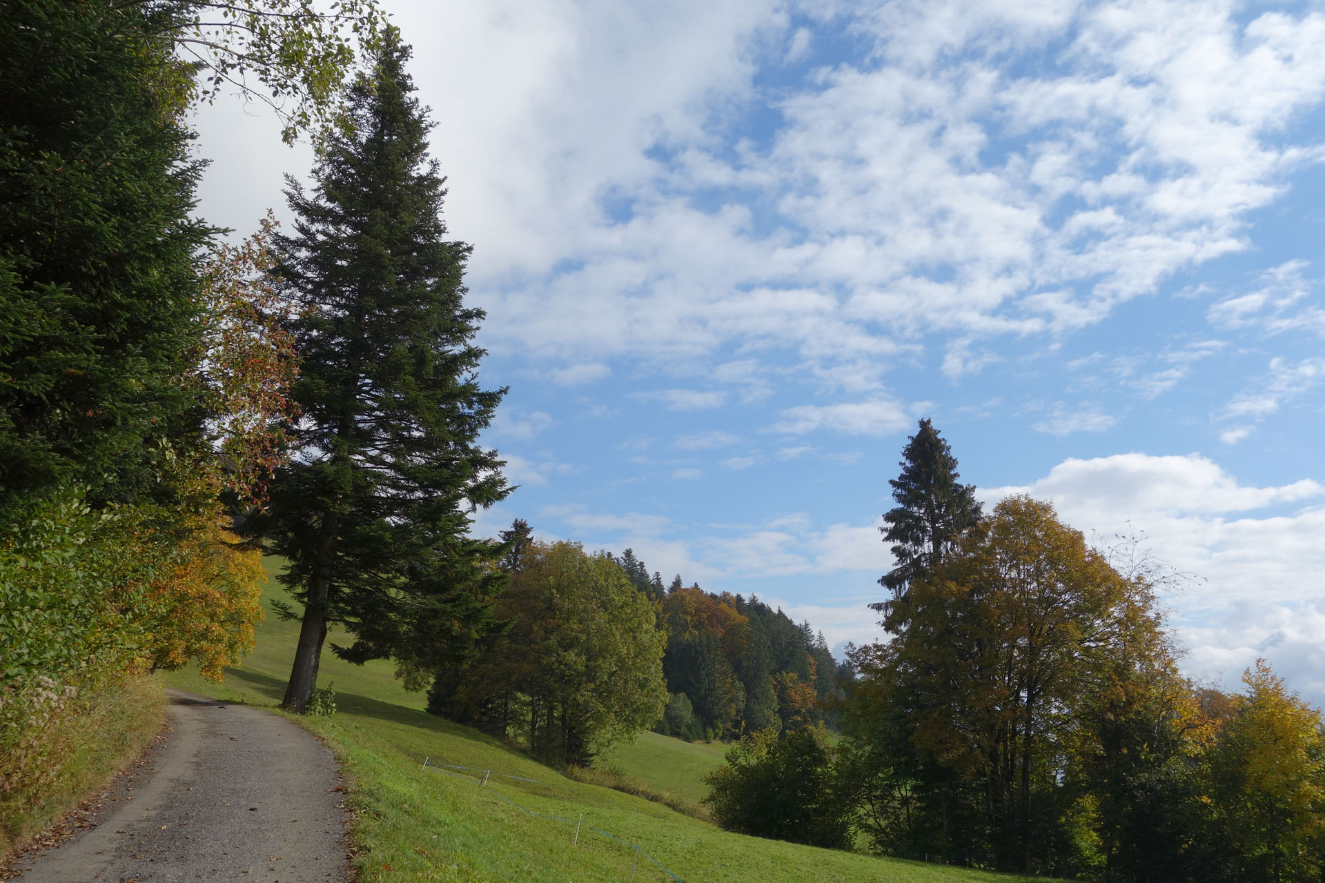 Wanderung Schwarzenberg