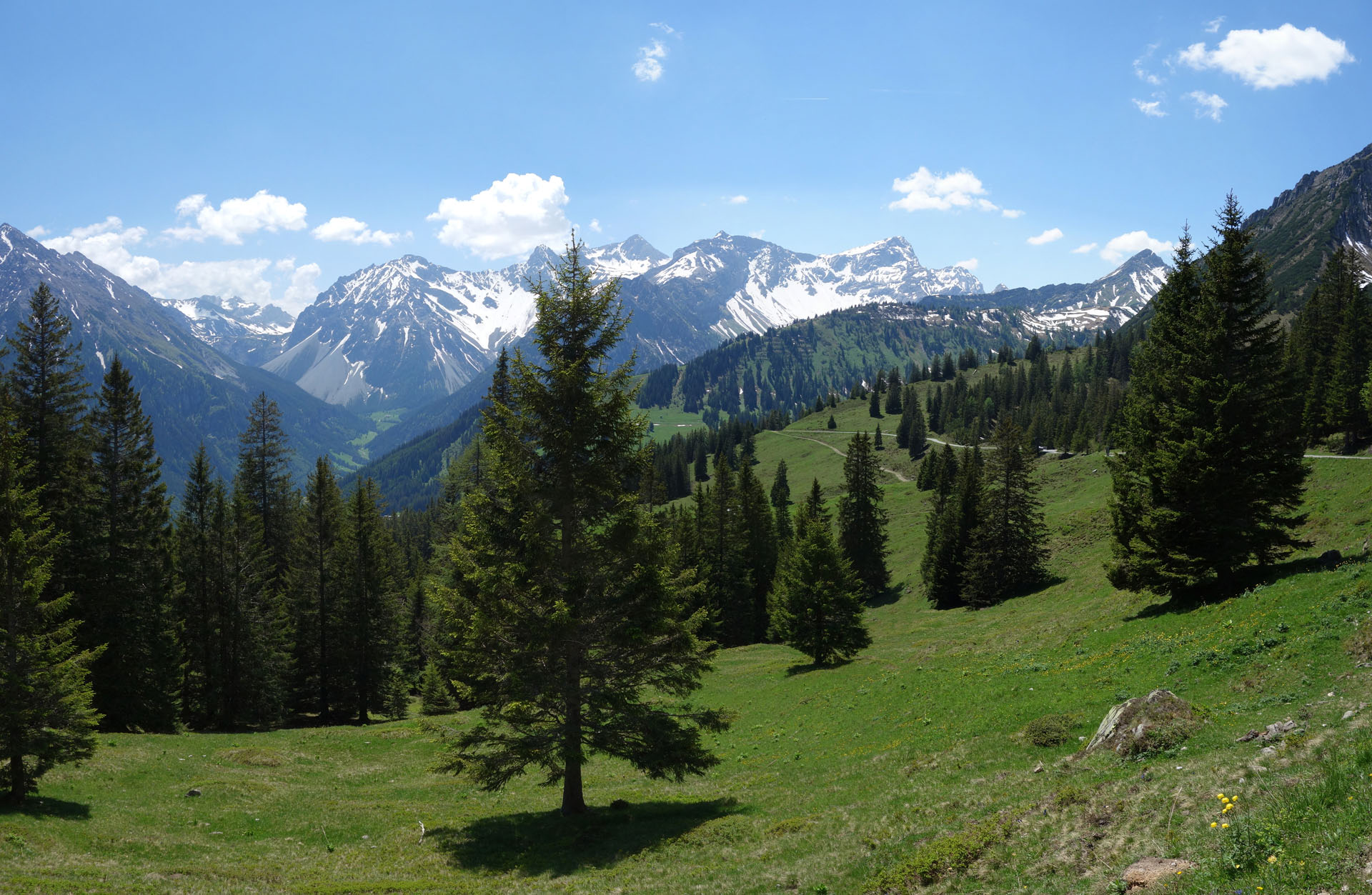 Spazierweg Vorarlberg