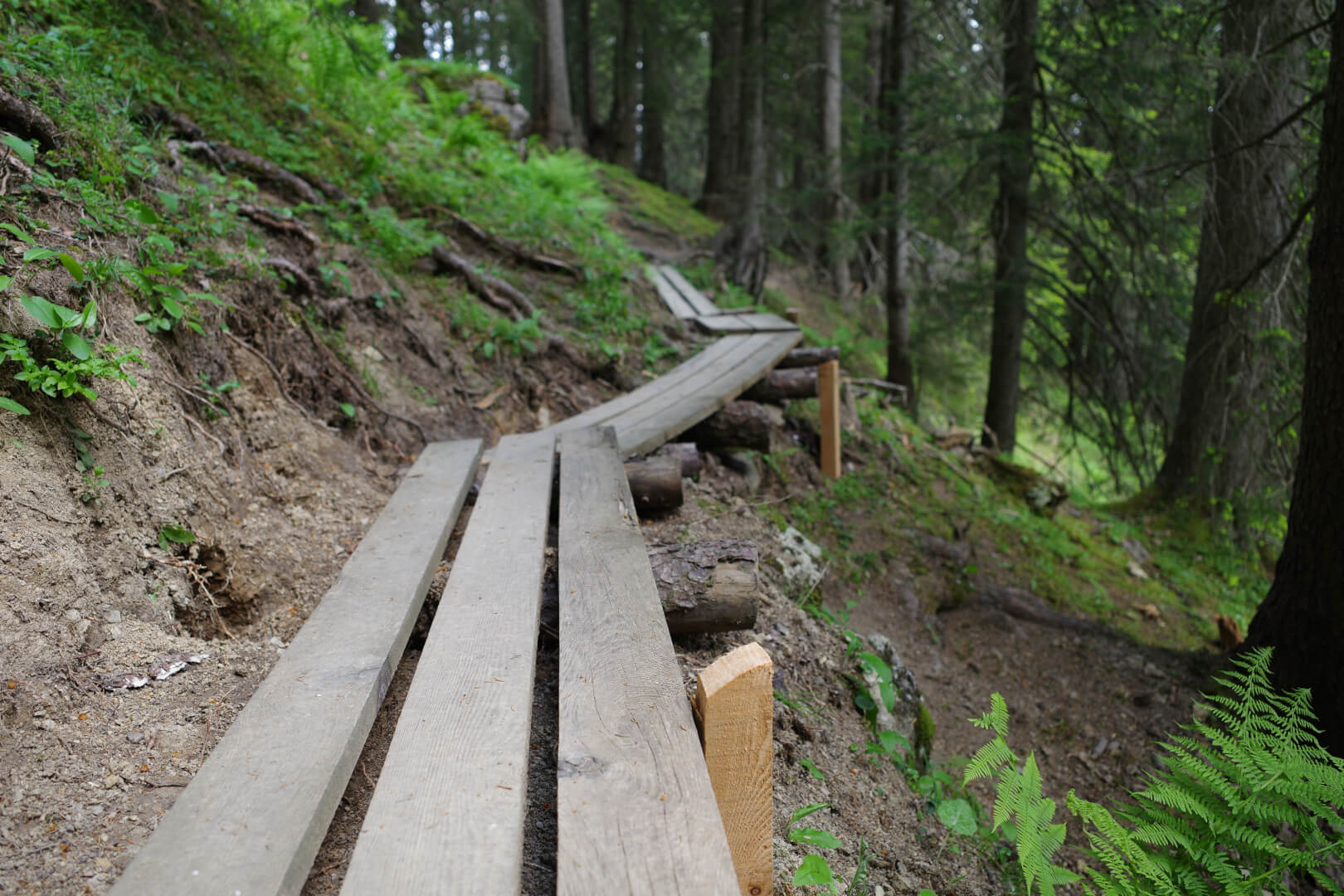 Holzplankenweg