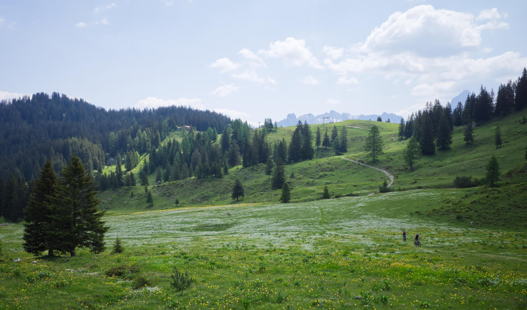 Mountainbiking Brandnertal