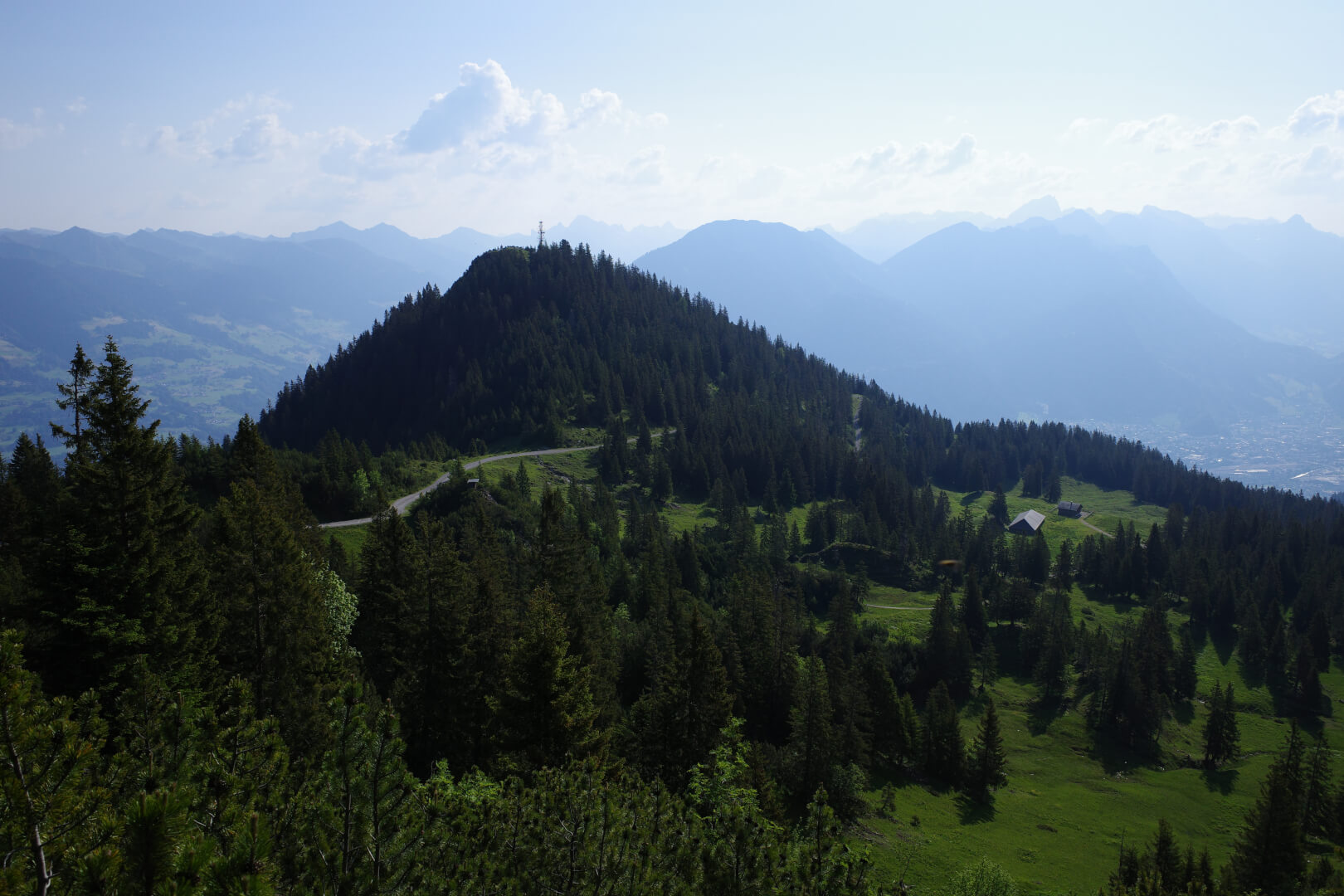 Schwarzkopf