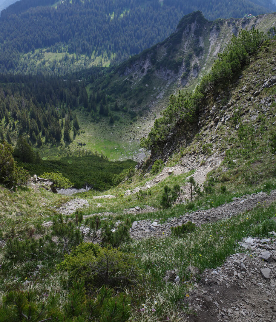 Tälisteig