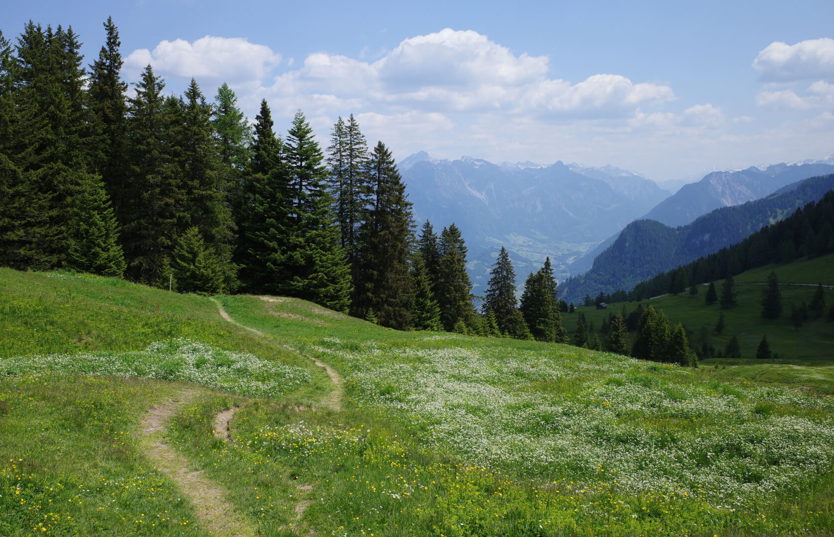 Wandern Bürserberg