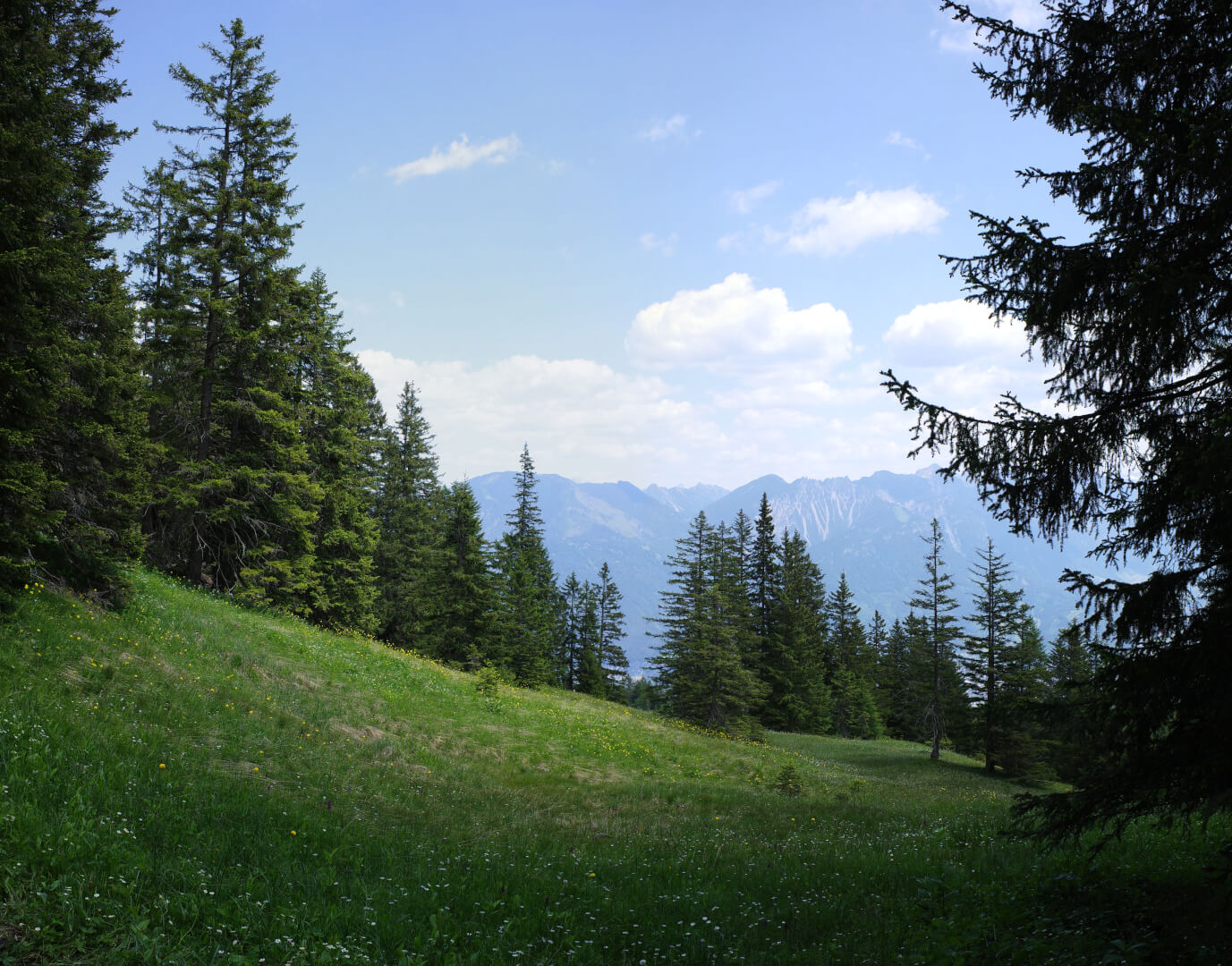 Wanderung Burtschasattel