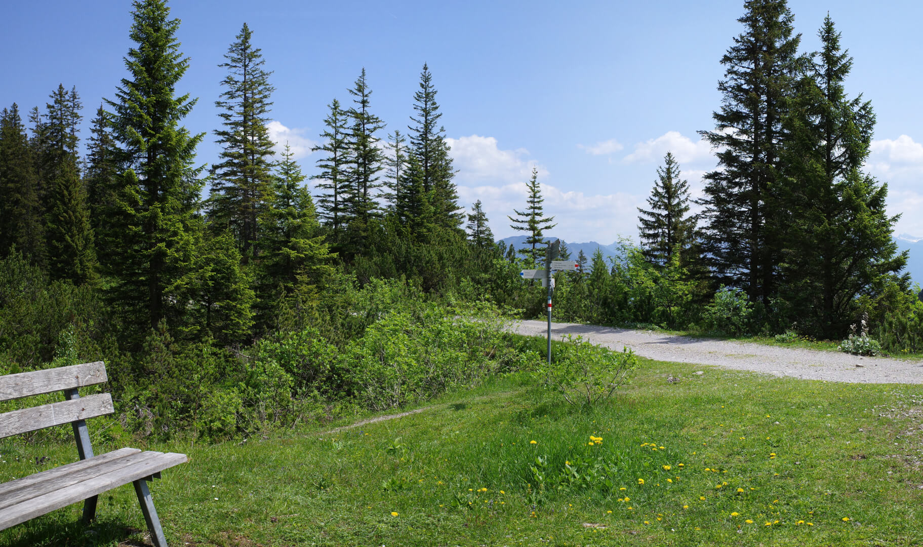 Wanderweg Parpfienzsattel