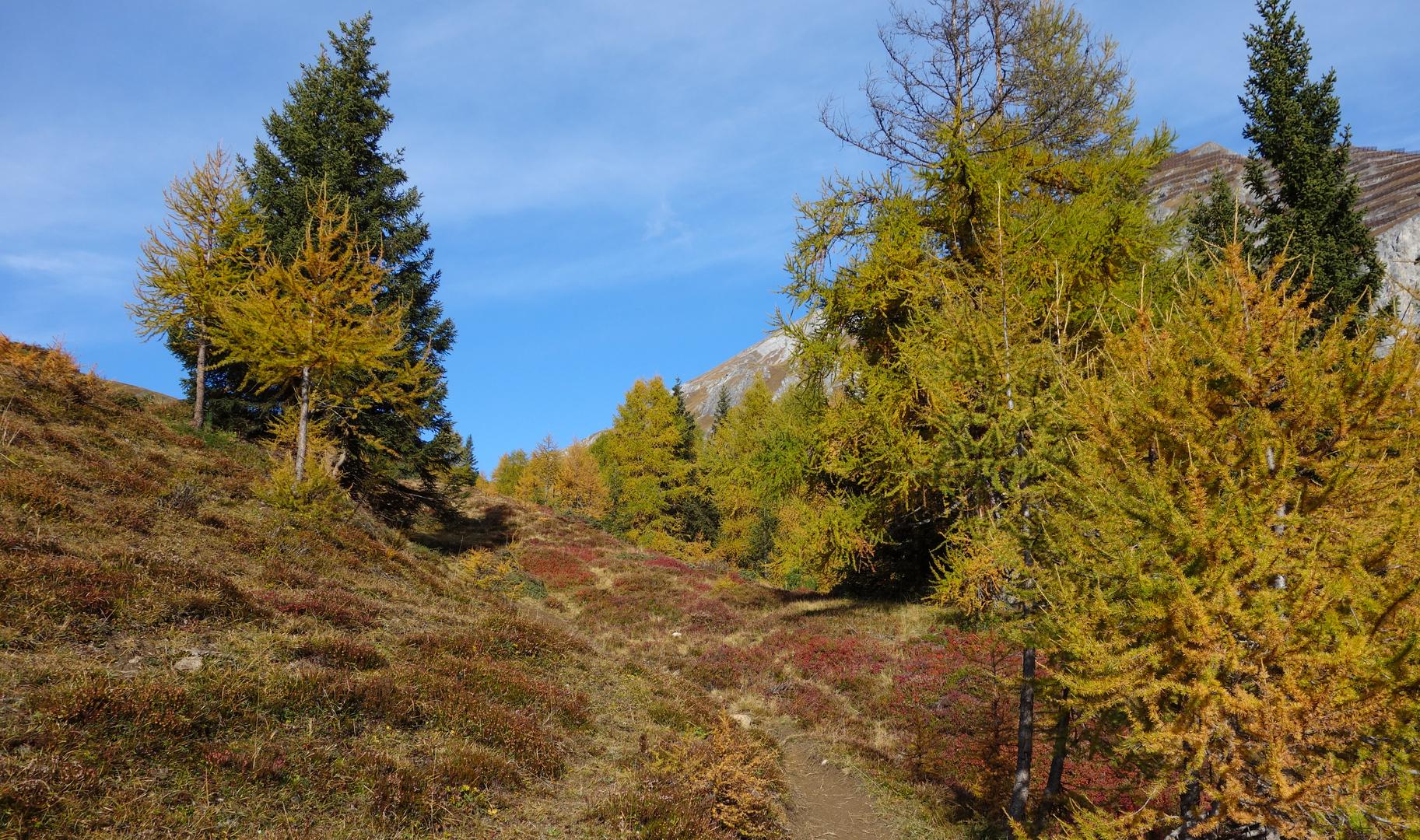 Herbstfarben