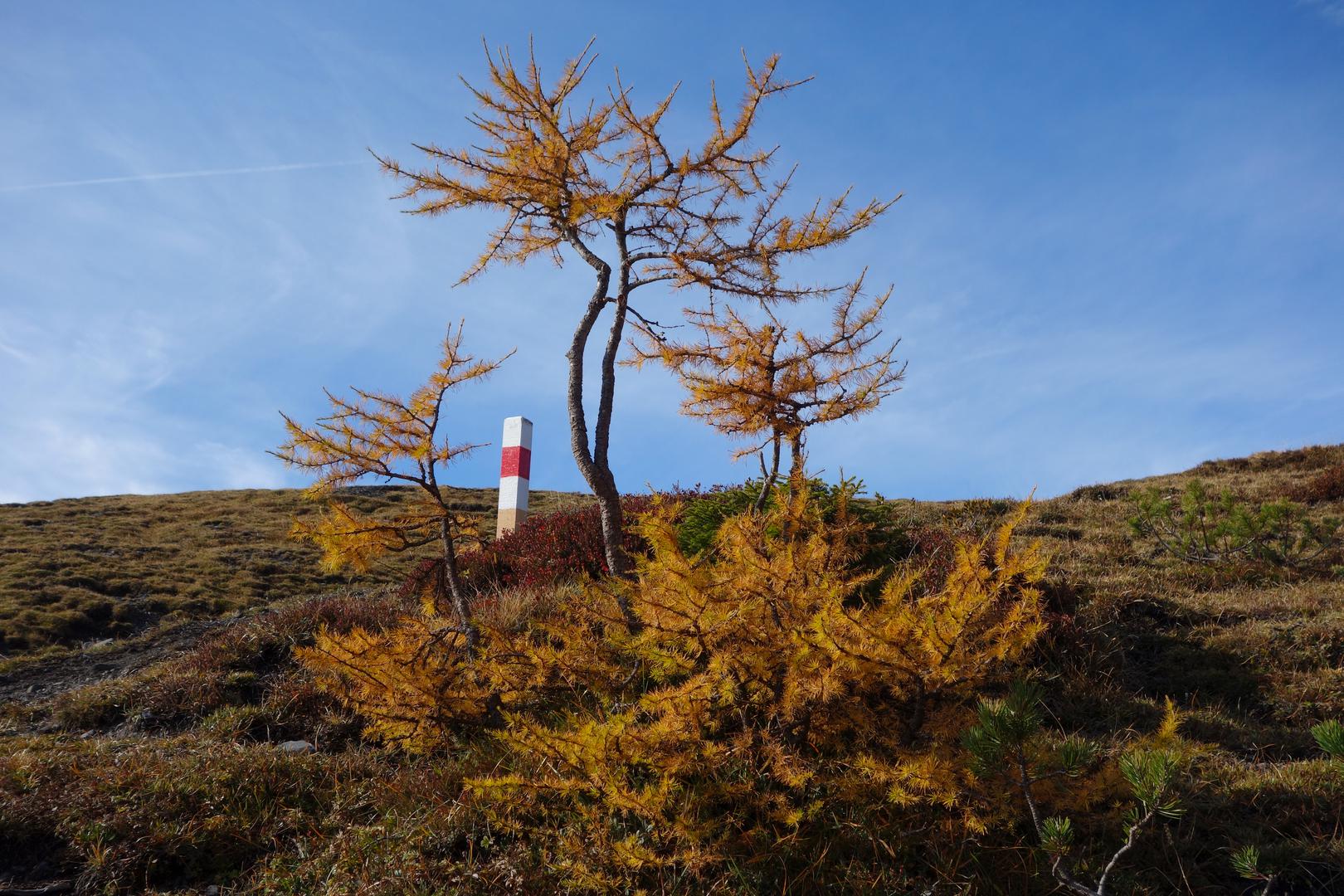 Wanderweg im Herbst