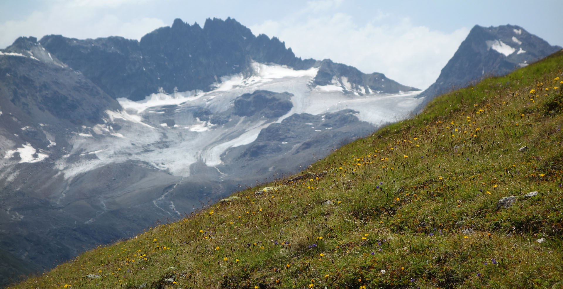 Grialetschgletscher