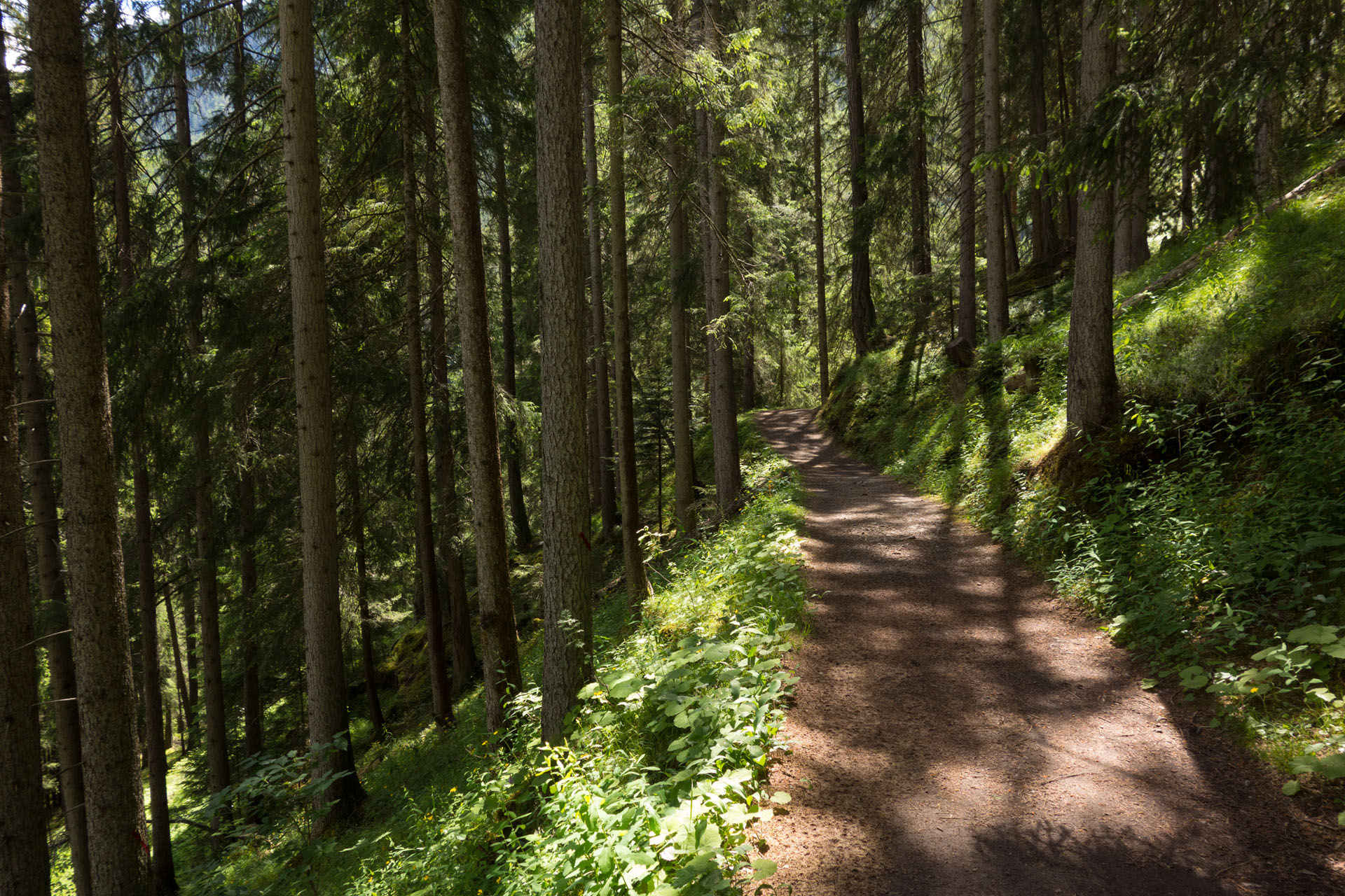 Wanderweg Filisur Wiesener Viadukt