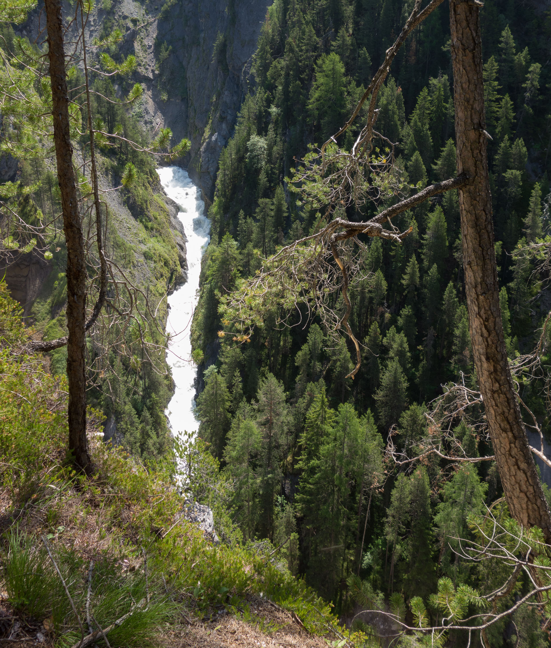 Landwasser
