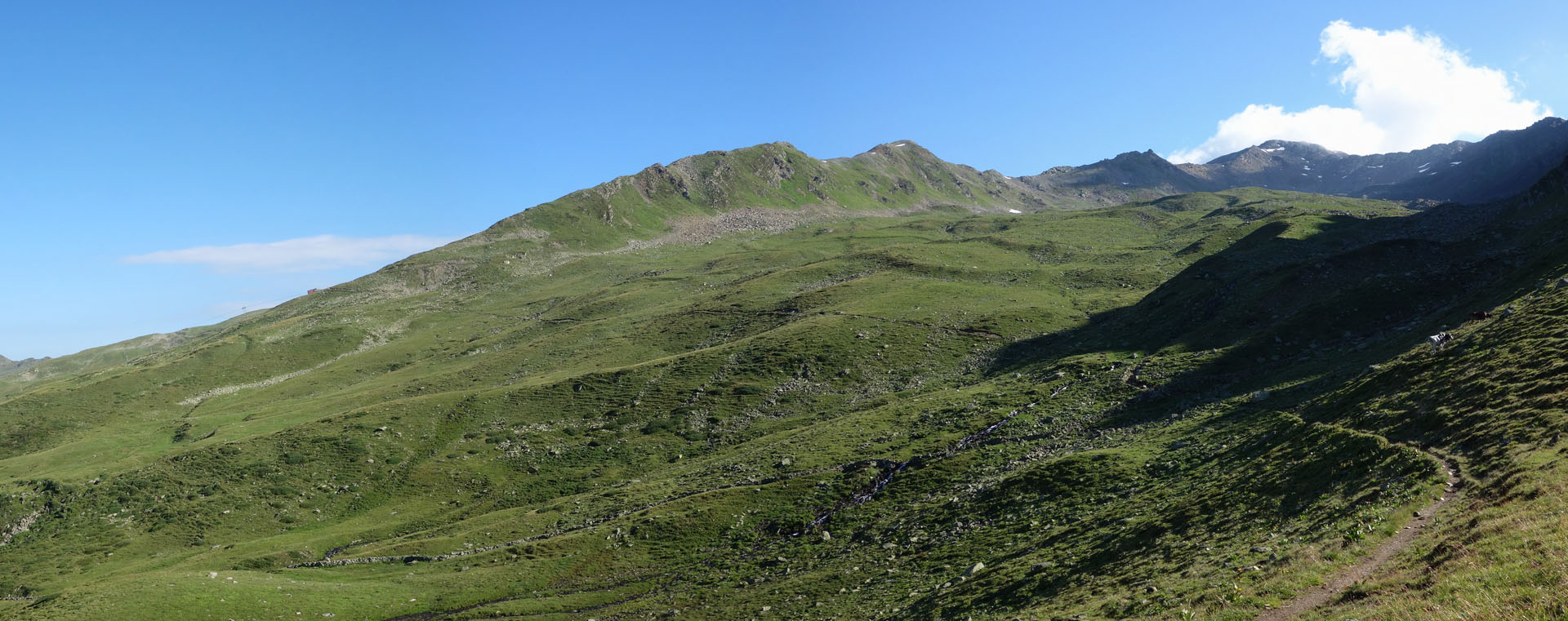 Weite Graslandschaft