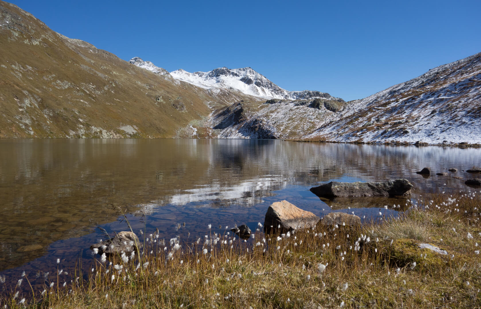 Bergsee mit Scheuchzer Wollgras