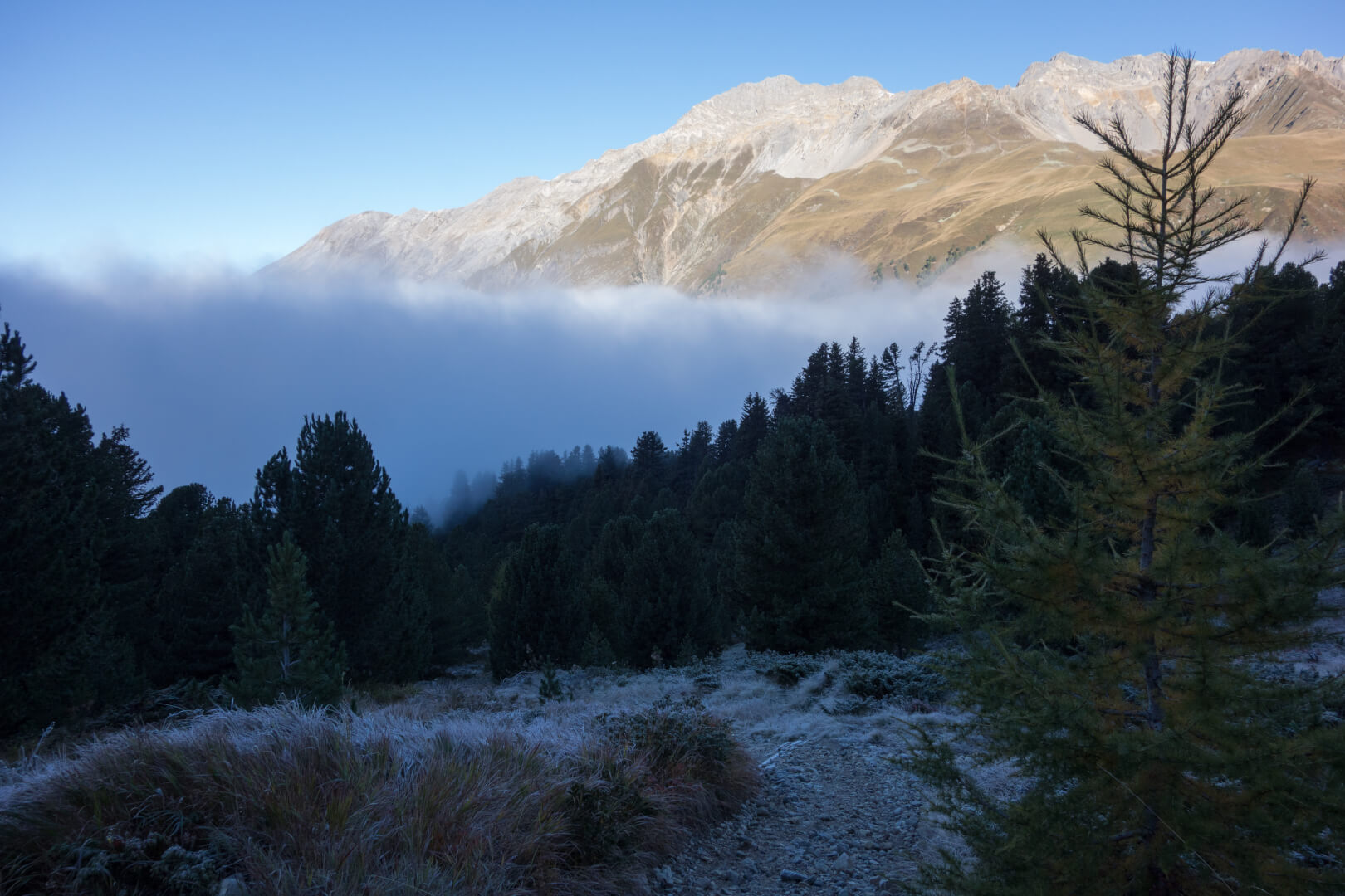 Herbstnebel