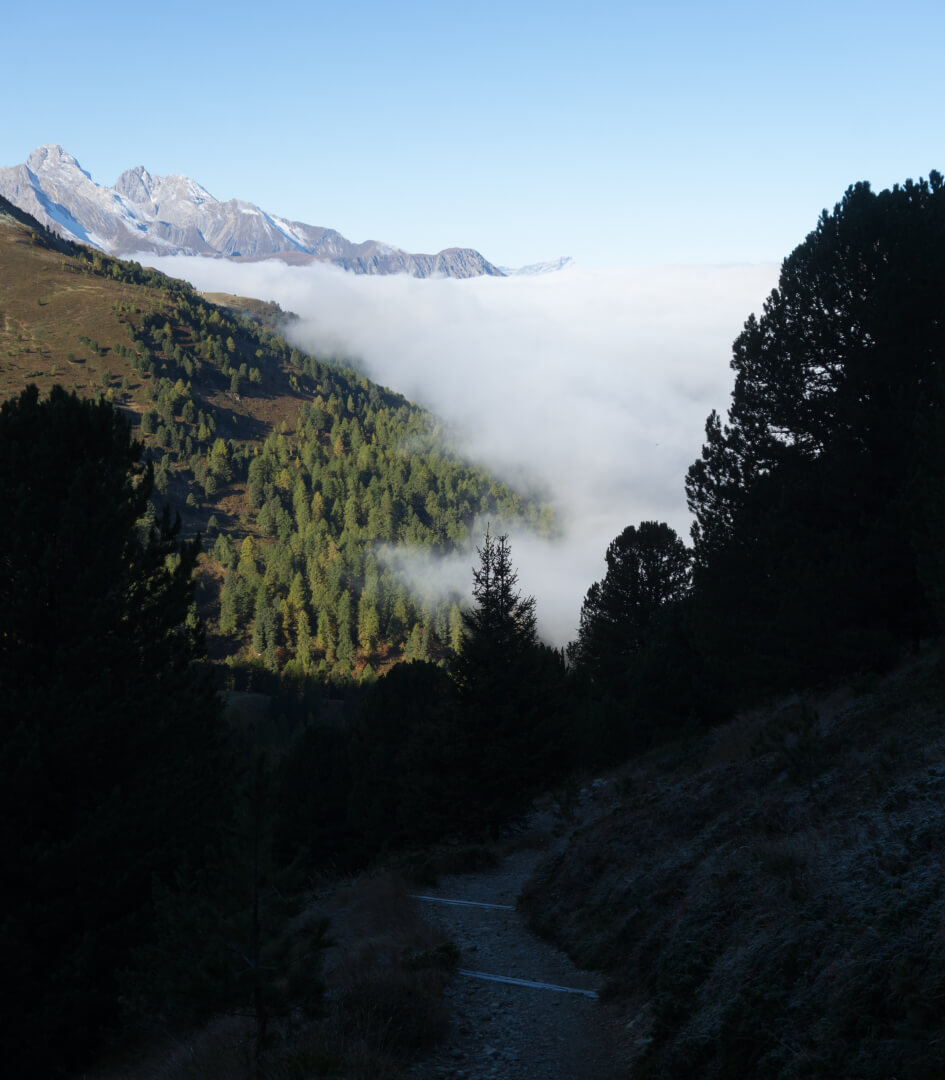 Nebel am Hang