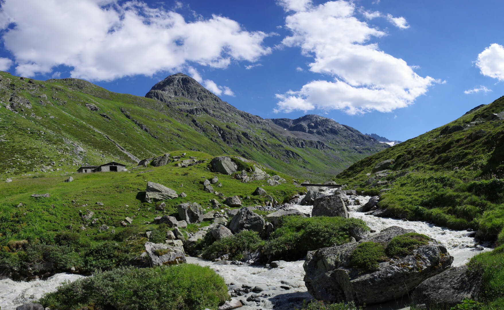 Alp Grialetsch