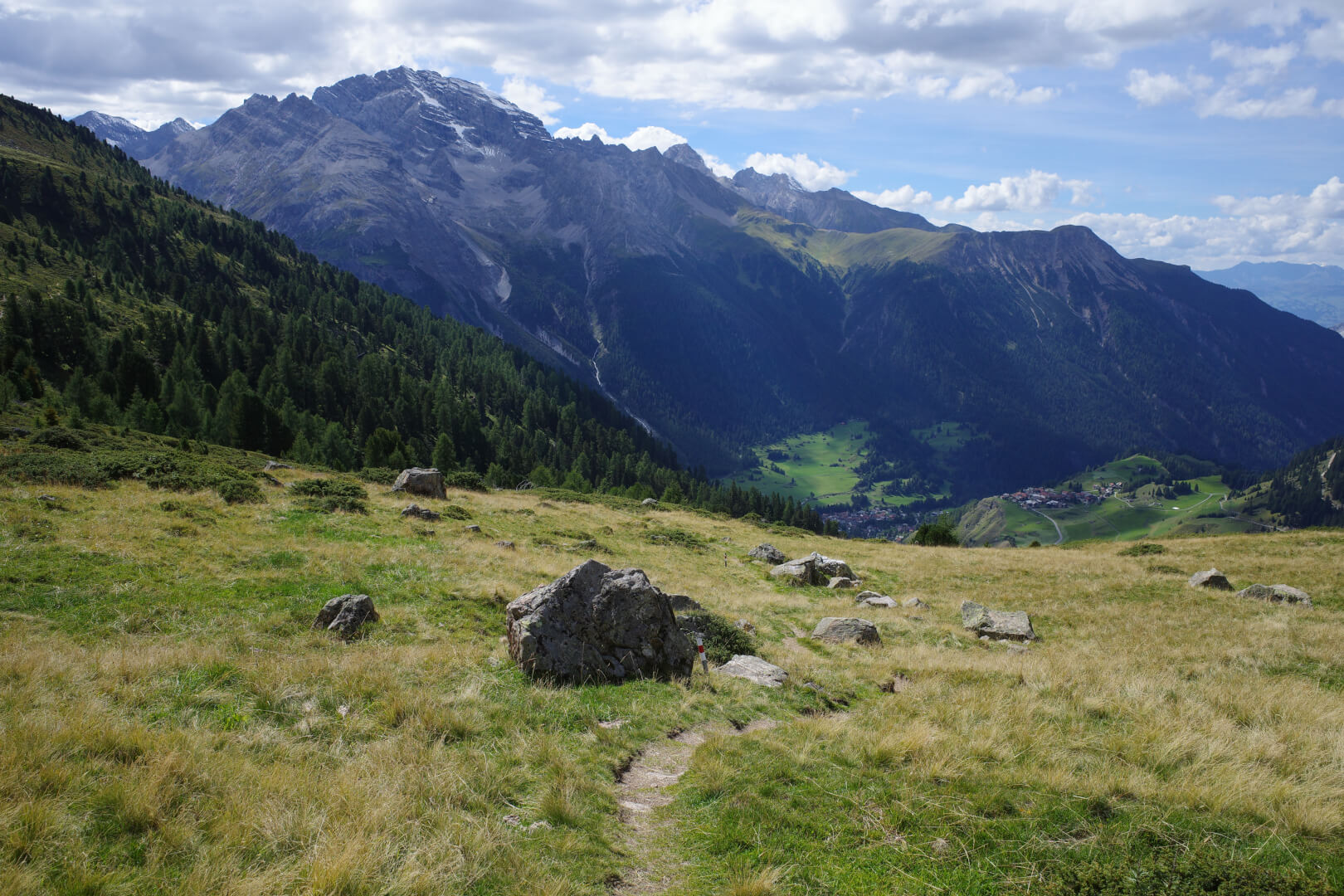 Graslandschaft mit Granit