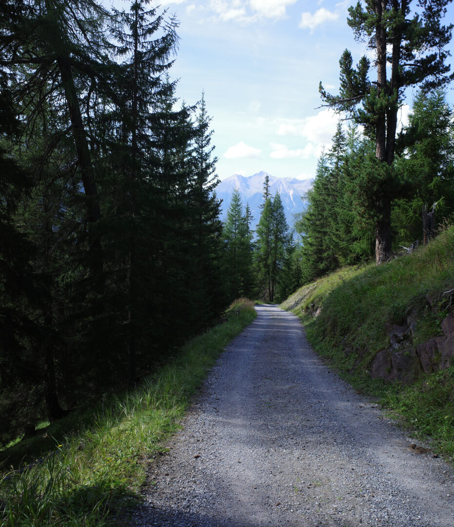 Spazierweg Darlux