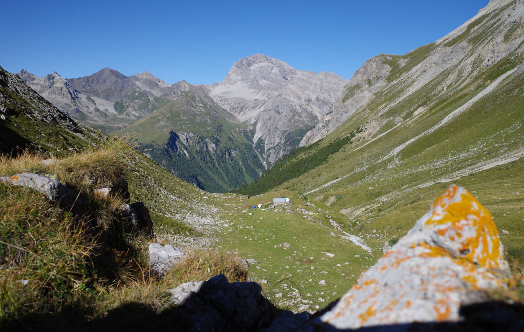 Alp Zavretta