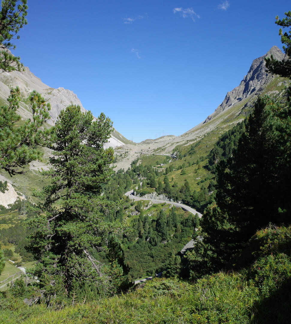 Bergstraße