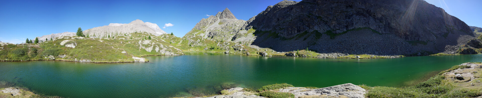 Grünes Wasser
