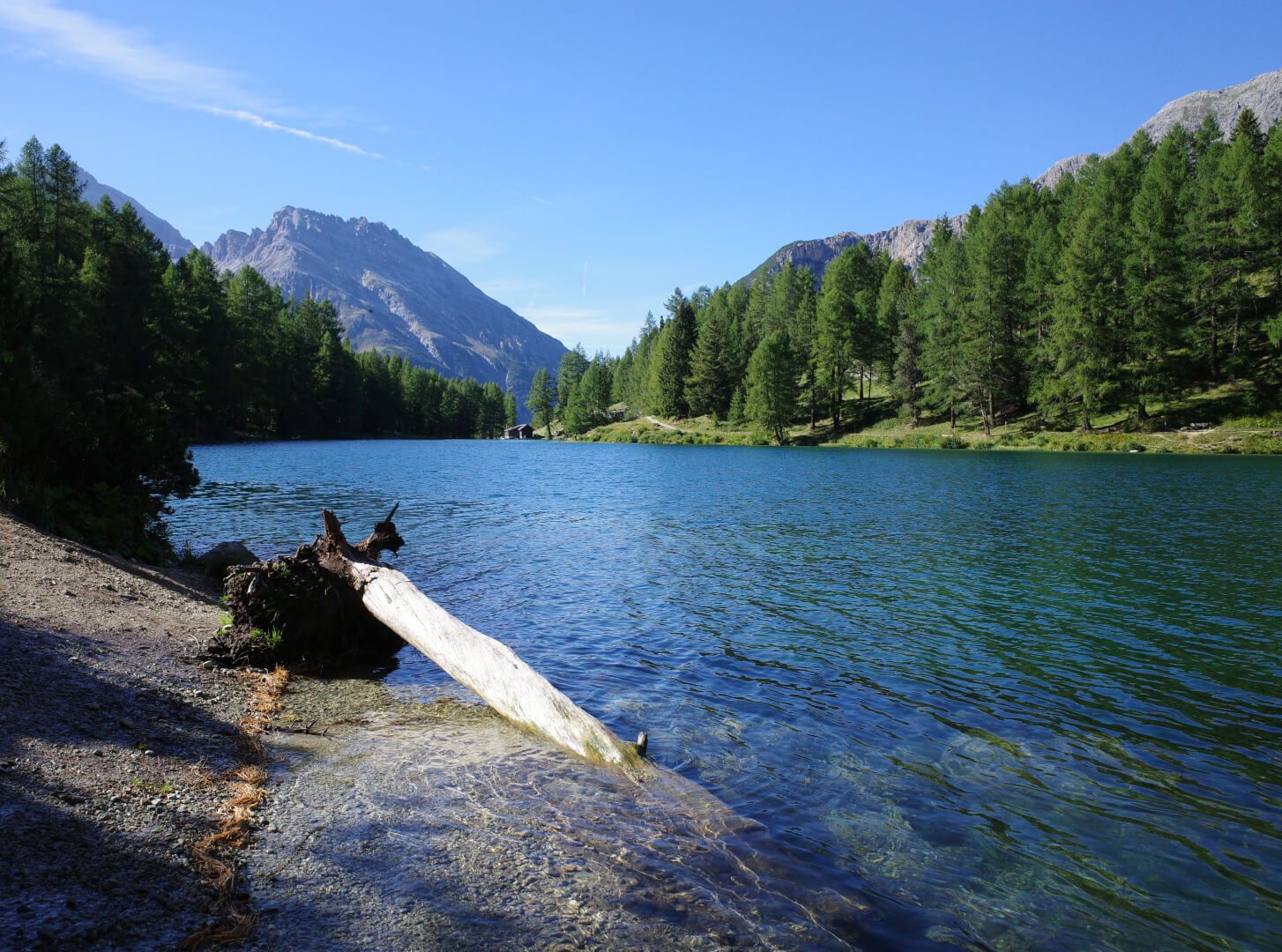 Klares Bergwasser