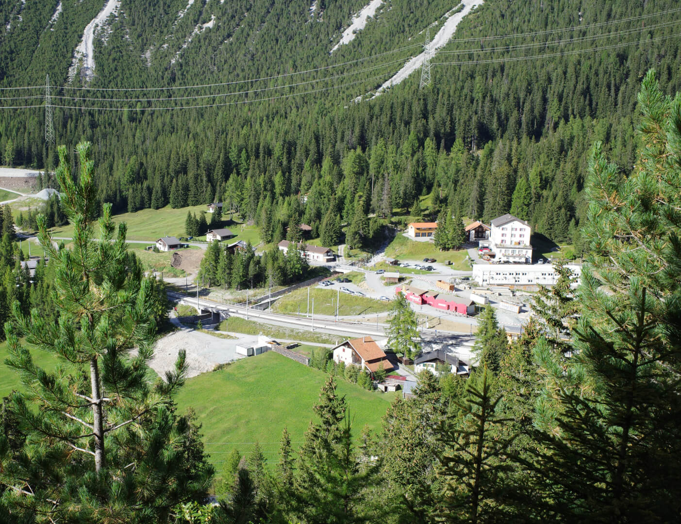 Preda