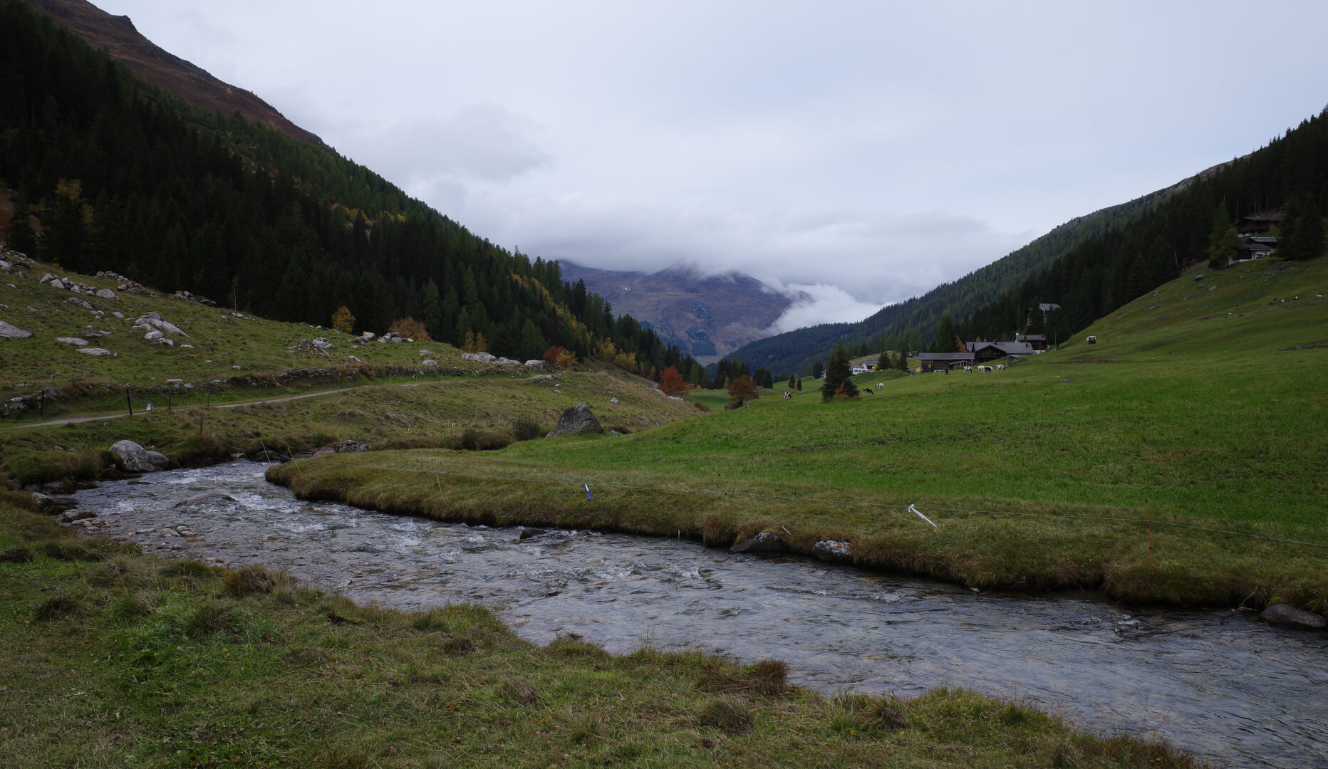 Dischmabach
