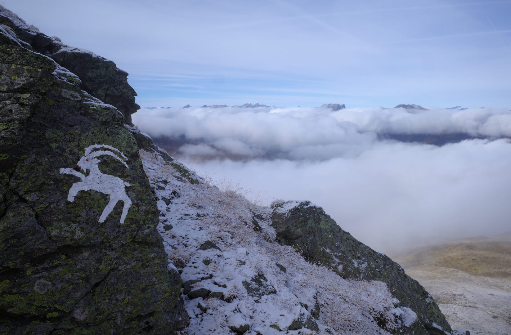 Steinbock auf Fels